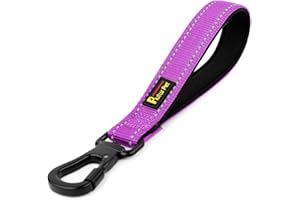 PLUTUS PET 10” Short Dog Leash, Reflective Nylon Padded Handle, Strong Traffic Leash with Carabiner Clip, Perfect for Large or Medium Dogs（10”，Purple