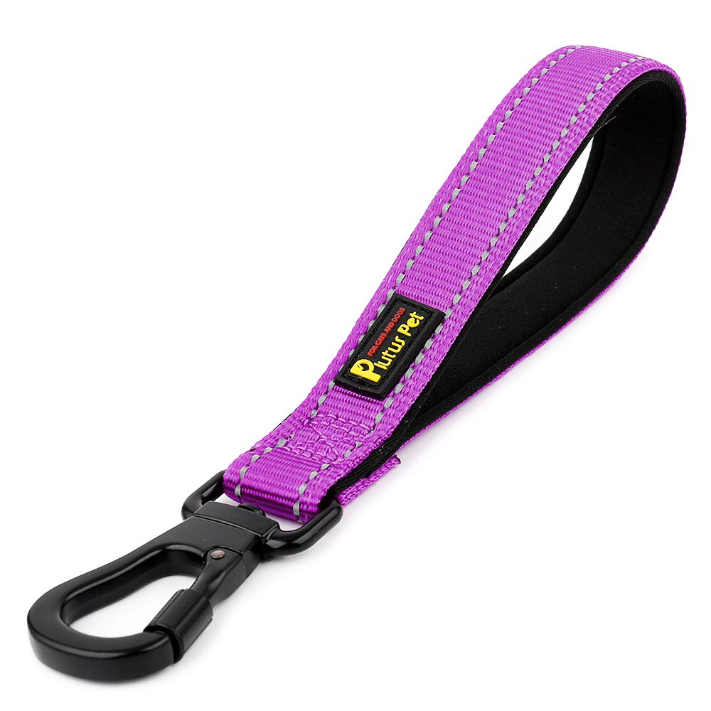 PLUTUS PET Strong Training Dog Lead with Rock Climing Carabiner Clip, Relective Nylon Dog leash Padded Handle, Training Lead for Large and Medium Dogs(25cm,Pruple)