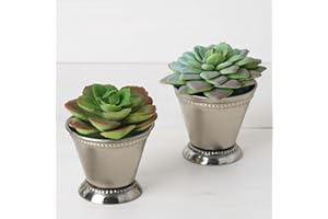 Efavormart Small Silver Mint Julep Cups Wedding Favors Tiny Wedding Decor