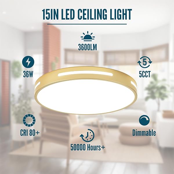 WHEATRONIC GOLD LED CEILING LIGHT FIXTURE FLUSH MOUNT 15 INCH 36W SET OF 2, DIMMABLE KITCHEN LIGHTING FIXTURES LED, MODERN LIGHT FIXTURES CEILING MOUNT FOR BEDROOM, BATHROOM, LIVING ROOM