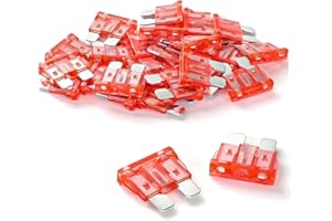 JESUNK 100 Pack Auto Fuses 10 AMP ATC/ATO Standard Regular Fuse Blade 10A Car Truck Boat Marine RV