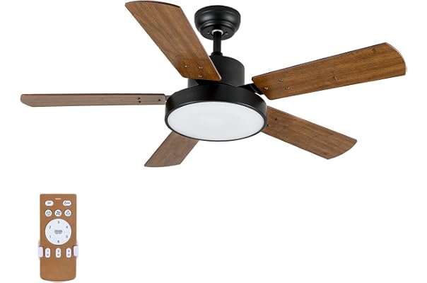 Ceiling Fans