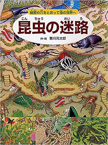 昆虫の迷路 秘密の穴をとおって虫の世界へ めいろ さがしえ むし 4歳 5歳からの絵本 香川 元太郎 小野 展嗣 小野 展嗣 本 通販 Amazon