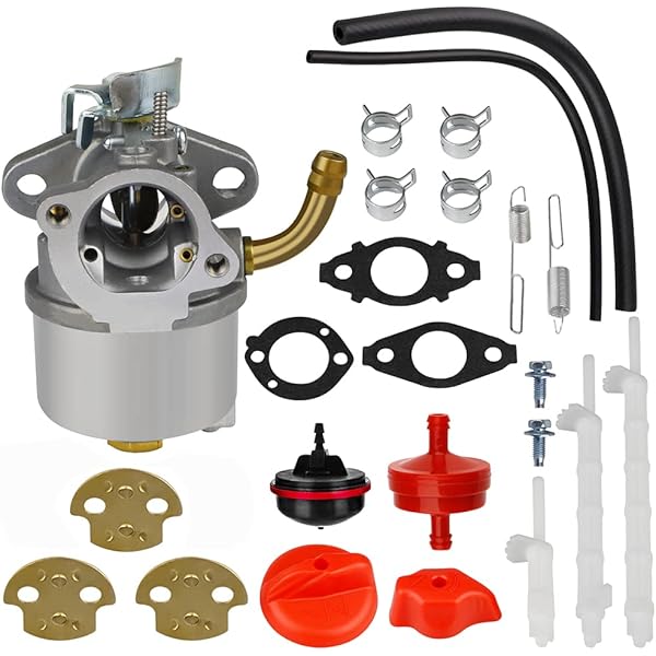 Amazon.com : ORALOCK for Briggs & Stratton 825795 Piston & Rings 