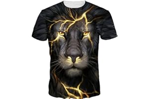 Imbry Men's Sports Tees 3D Printed Round Neck Short Sleeve Tops Cool T-Shirt