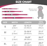 Joytale Reflective Dog Collar Medium Neoprene Padded Heavy Buckle Hotpink view 5