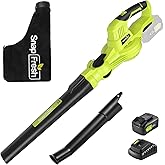 SnapFresh Cordless Blower & Vacuum - 2 in 1 Electric Blower with 4.0Ah Battery & 2h Fast Charger, 20V Handheld Vacuum Sweeper with Bag for Small Trash, Car, Dust, Pet Hair, Corner Cleaning