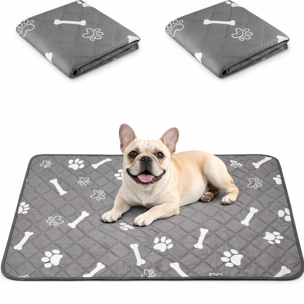 2 Pack Reusable Dog Training Pads, Fast Absorbent & 100% Waterproof Dog Pee Pads, Washable Puppy Pads, Reusable Whelping Mat for Home, Car Seat, Travel, Anti-Slip Dog Rug (45x60cm, Grey)
