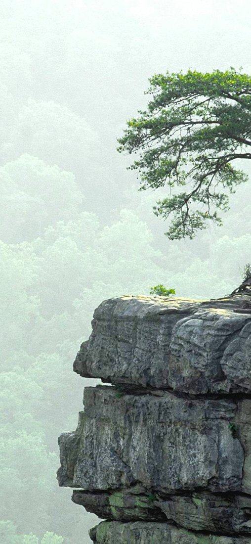 PeelitStickit, Beautiful Nature Wall Murals, ID-0519, vinyl
