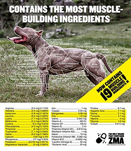 pitbull weight gain supplements