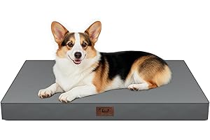 Tail Stories Outdoor Orthopedic Dog Bed, Waterproof Dog Bed for Large Dogs 36x27 Inch, Egg Crate Foam Pet Mat with Washable Removable Oxford Cooling Cover, Grey