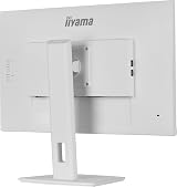 iiyama -W6 27" QHD IPS 100Hz Monitor HAS view 9