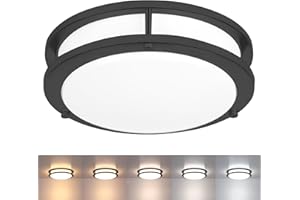 Black Ceiling Light Fixture, 10.3 Inch Flush Mount Light Fixture, 17W Ceiling Lighting with 2700K/3000K/3500K/4000K/5000K Adj