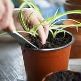 Augshy 75+ Pcs 4 Inch Nursery Pots Plastic Plant Pot Seed Starting Red view 5
