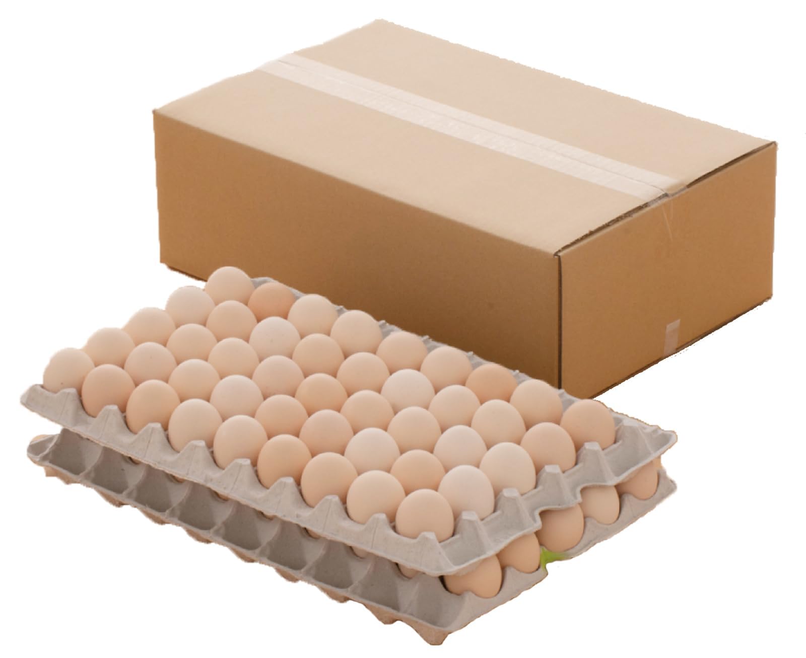 出雲ファームのこめたまご 5kg（お米育ちのニワトリのおくりもの/常温/Mサイズ 約82個入り）商品画像