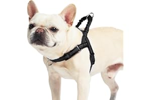 PUPTECK No Pull Dog Harness Small Sized Dog, Adjustable Reflective Pet Vest Harness with Bungee Handle, Escape Proof No Choke Harness for Small Dogs Walking Training, Black S