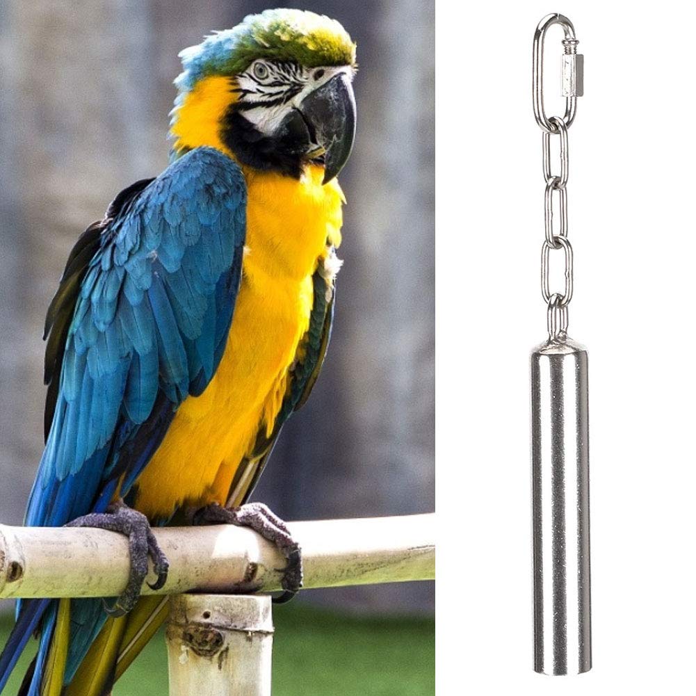 AMONIDA Bird Bell Toys, Parrot Toys, Squirrel Bells Stainless Steel Bells Toys for Birds Large Parrot African Greys Macaws(Large)