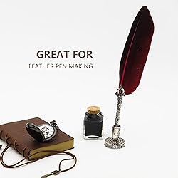 FeelfunFeather 120pcs Wine Red Goose Feathers 6-8