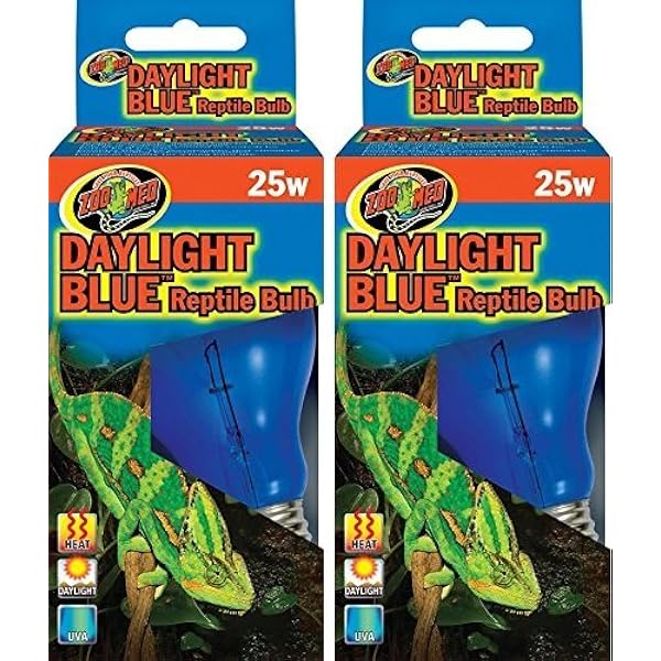blue reptile bulb