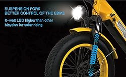 Electric Bike for Adults,1000w (Peak 1500) Ebike