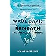 Beneath the Surface of Things: New and Selected Essays