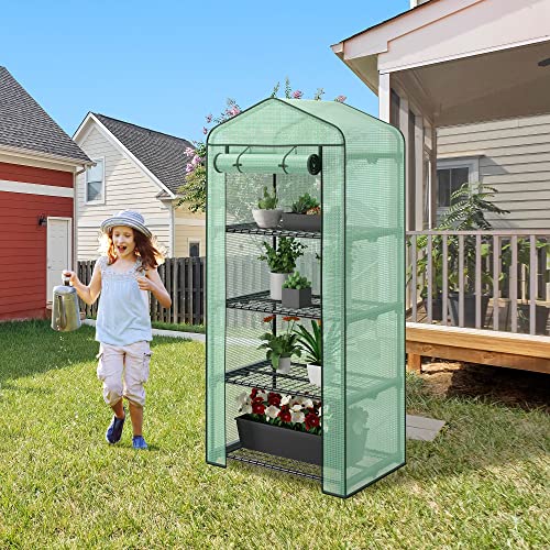 4 Tier Mini Greenhouse Indoor Outdoor with PE Cover and RollUp Zipper