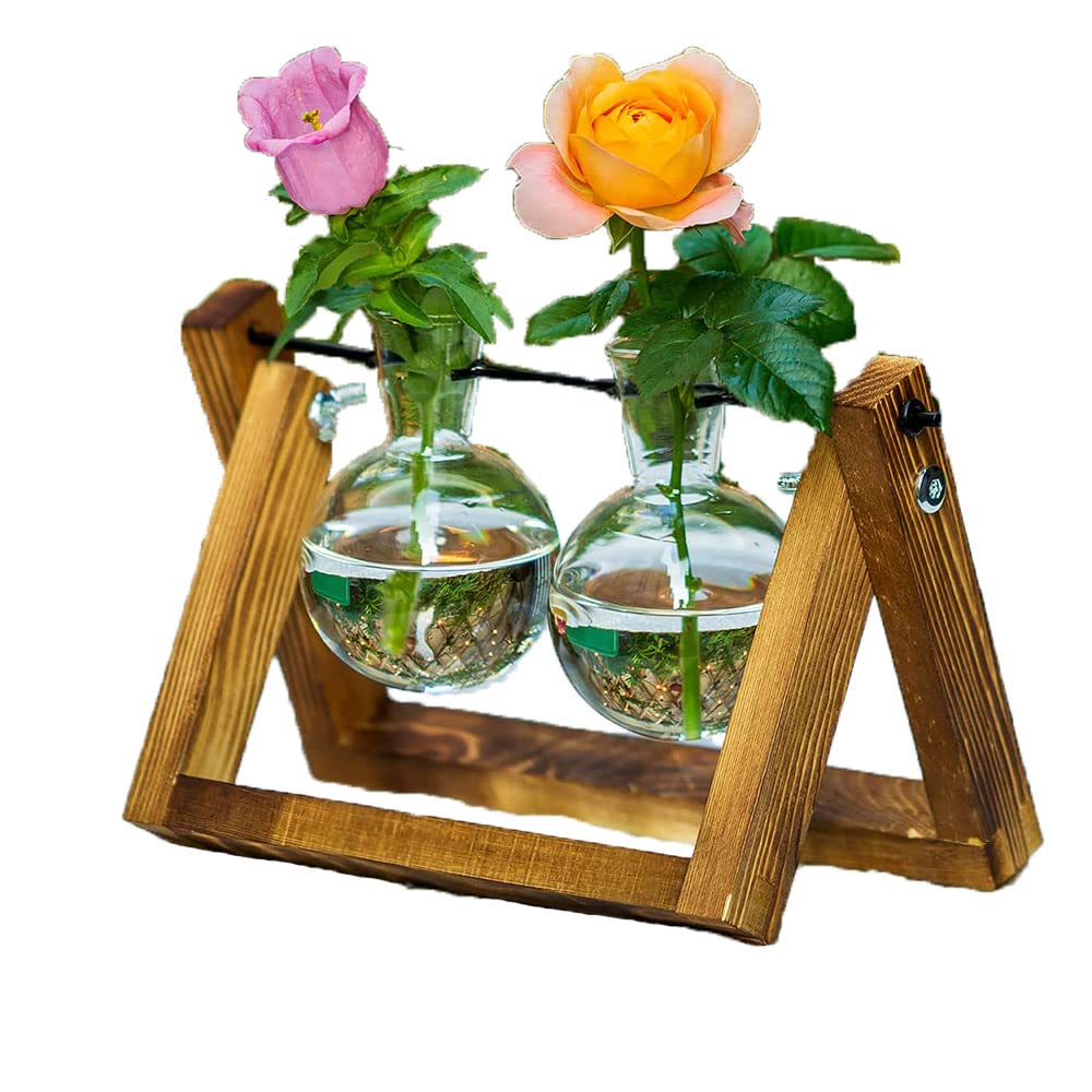 zalati Plant Terrarium Plant Propagation Station with Wood Rack for Hydroponics Home Garden Office Decoration - 2 Pots