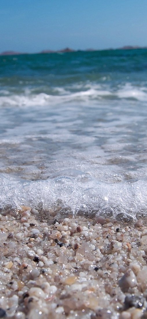 PeelitStickit, Beautiful Nature Wall Murals, ID-1060, vinyl