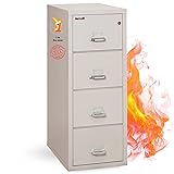 Fireking Fireproof Vertical File Cabinet