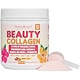 Beauty Collagen-Berry Mix Flavored-Ultimate Beauty Blend with 5 Types of Collagen, Sea Moss, Biotin, Keratin, Hyaluronic Acid, Vitamin C and Probiotics-All Natural, Made in USA -45 Servings