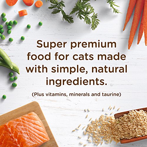 Rachael Ray Nutrish Premium Natural Dry Cat Food, Real Salmon & Brown