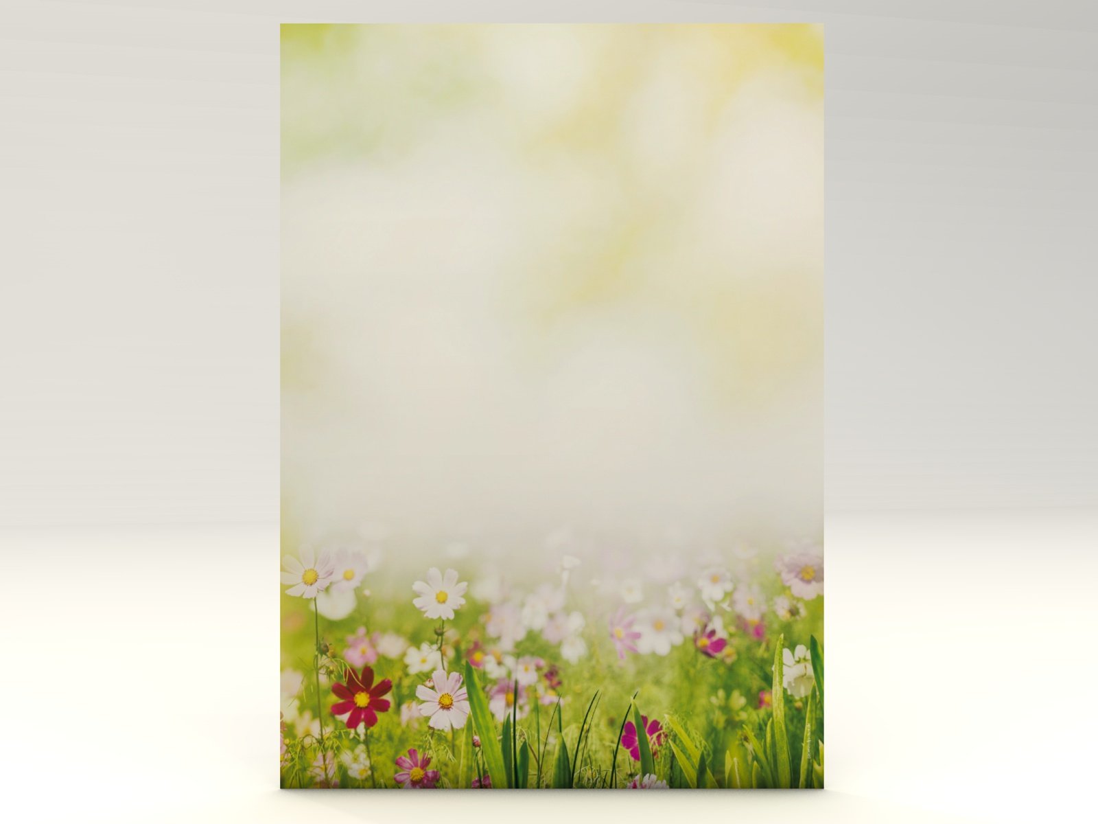 Motiv-Papier Sommerwiese , 50 Blatt A4, 100g/qm, hochwertiges Motivpapier / Briefpapier für Laser/Ink/Copy/Hand