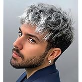 SEVENCOLORS Mens Wigs Short Grey Mixed Silver Wig Layered Natural Short Hair Wigs for Men Cosplay Halloween Party Synthetic Fashion Wig
