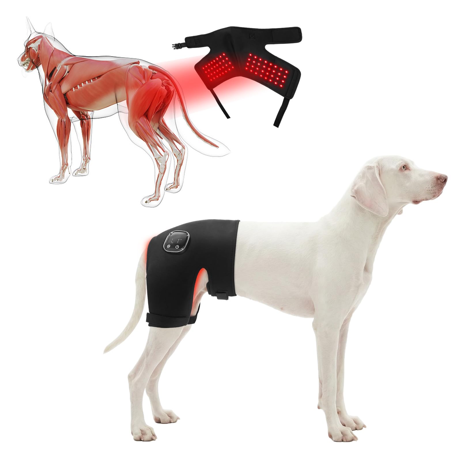 Photo 1 of HAGGEMI Dog Hip Brace with Red Infrared Light Therapy – Pain Relief for Arthritis, Hip Dysplasia, Spine Issues & Muscle Recovery, Portable & Cordless, Patent Pending(Female Dog, XL)