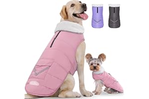 iBuddy Dog Winter Coats with Fleece Vest,Waterproof Warm Dog Snow Jacket Windproof, Reflective Adjustable Pet Dogs Cold Winter Coat for Dogs Girl Boy