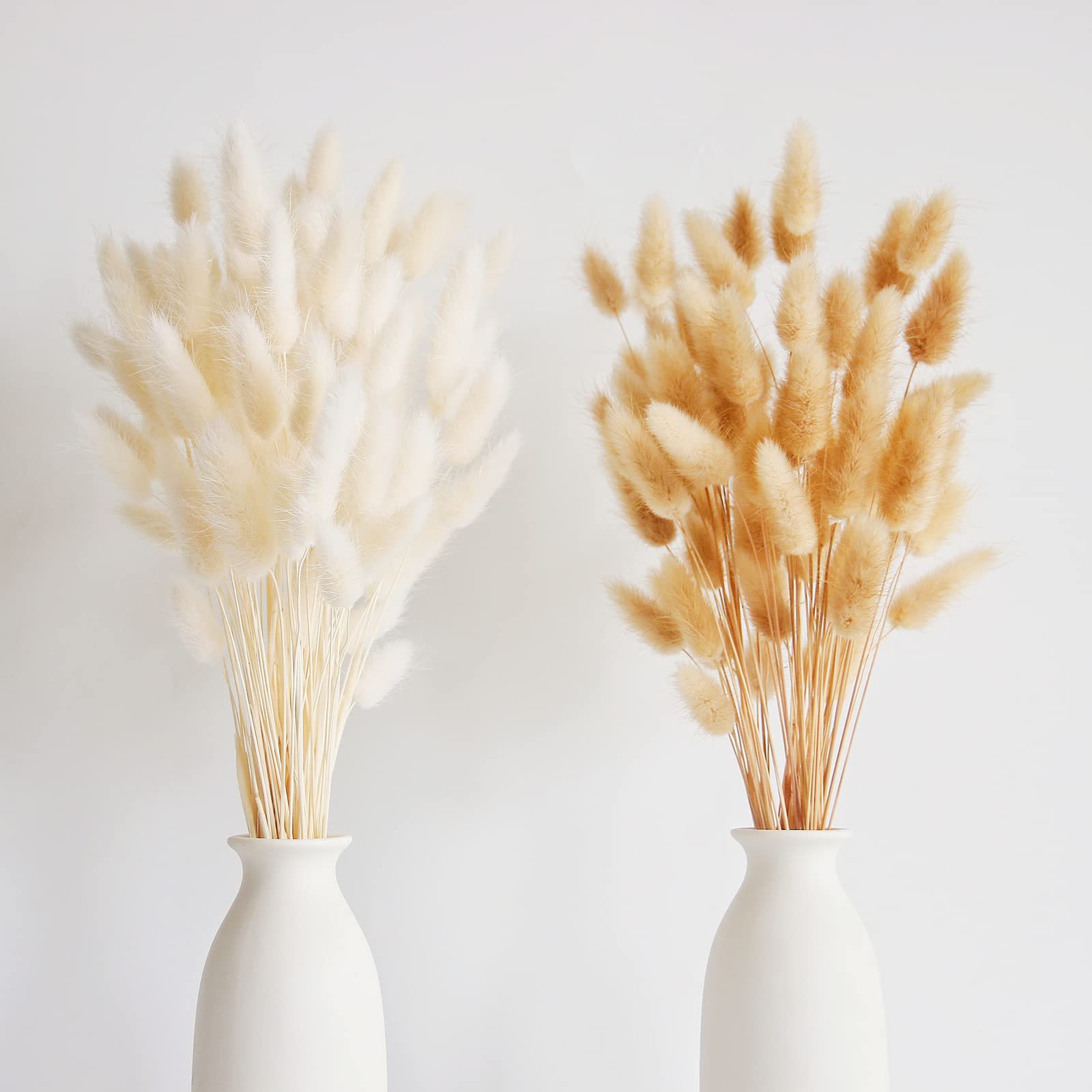 Photo 1 of 120 PCS Bunny Tails Dried Flowers, Dried Pampas Grass Bouquet, Boho Table Decor, White Pampas Grass Small, Dried Bunny Tails, Pampas Grass for Wedding, Home, Rustic Party, Baby Shower Decorations