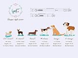 Unique style paws Dog Collar with Detachable Bow Tie Adjustable XXS-XL view 5