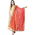 DUPATTA BAZAAR Women's Embroidered Red Glass Tissue Dupatta