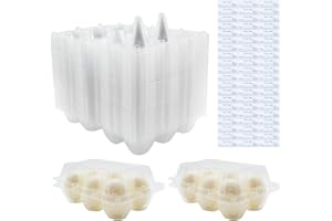 BULKBUY Egg Cartons 60 Packs, Clear Eco-friendly Plastic Blank Egg Cartons with Free Labels, Holds up to 6 Duck Eggs Securely