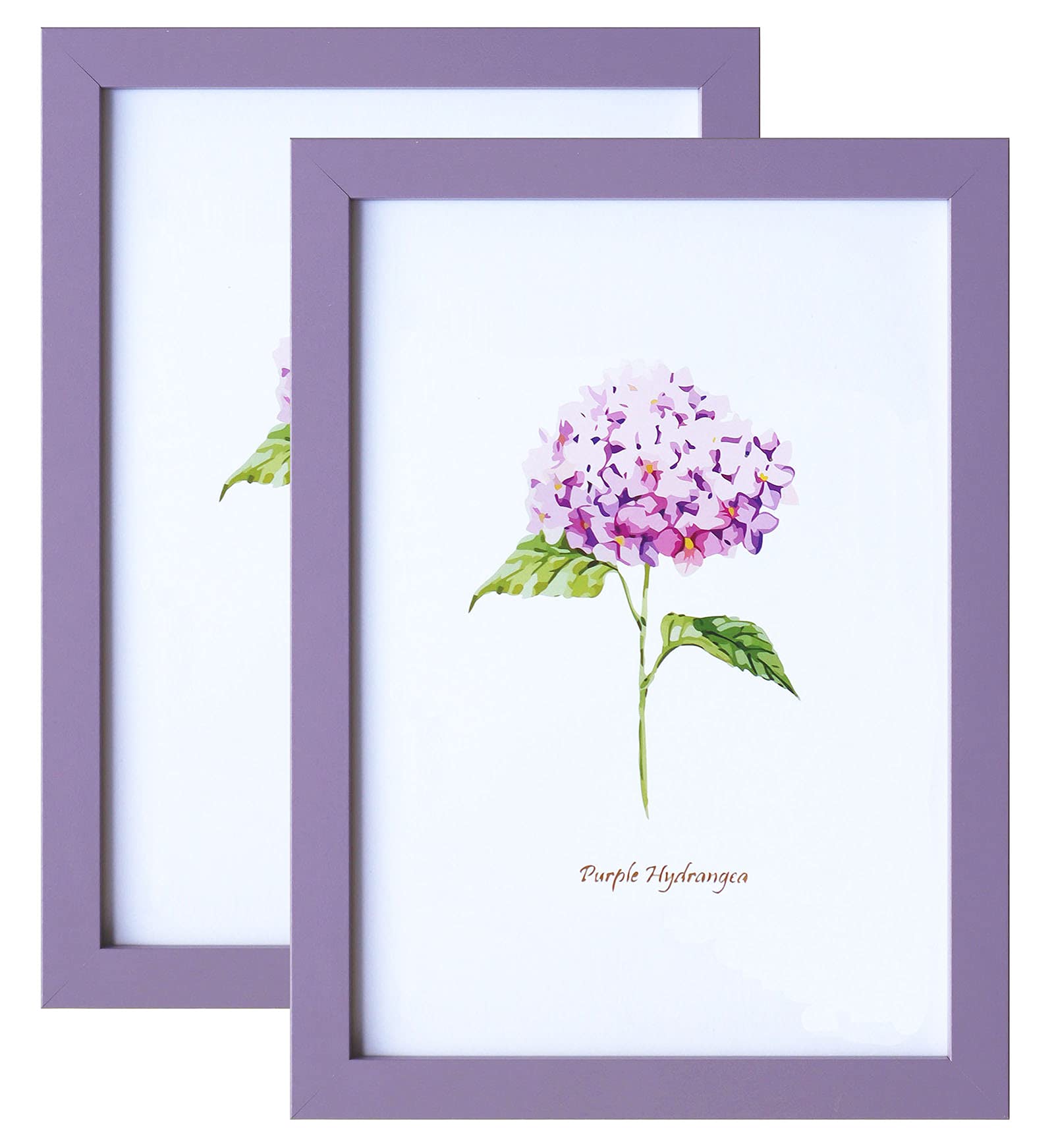 A4 Photo Frame Purple Photo Frames A4 Purple Picture Frames for Tabletop and Wall 2 Pack