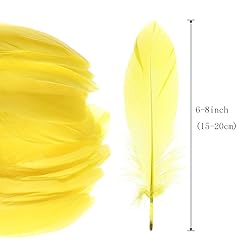 100PCS Natural Goose Feathers Decoration - Assorted