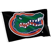 Desert Cactus University of Florida 100% Polyester Indoor Outdoor 3x5 feet Banner UF Gators (Flag F)