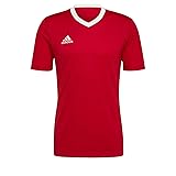 adidas Men's Entrada 22 Jersey, Team Power