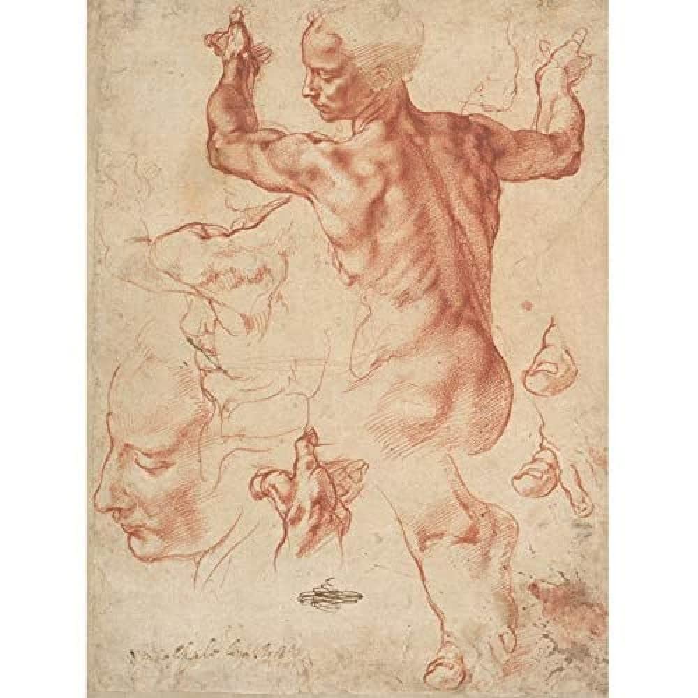 Artery8 Michelangelo Studies For The Libyan Sibyl Sketch Drawing Art Print Canvas Premium Wall Decor Poster Mural