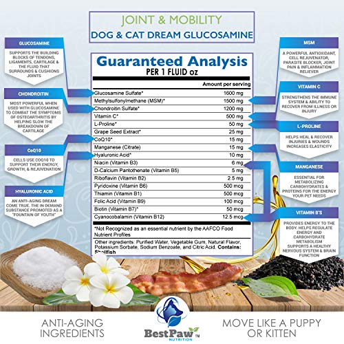 Best Paw Nutrition Bacon Flavor Liquid Glucosamine for Dogs & Cats
