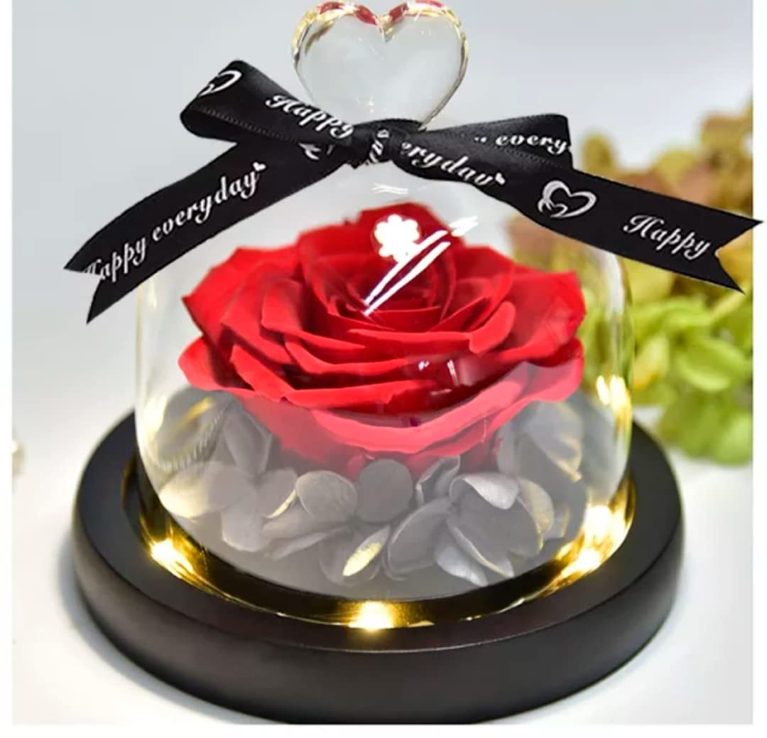 FlowerBomb Decor Mothers Day Infinity Rose with a Gift Box Gift for Her Mum Girlfriend Wife for Mother's Day Birthday Anniversary Wedding