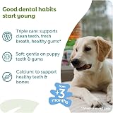 WHIMZEES Puppy Stix XS/S 28 Pieces Dog Dental Sticks Small Breeds Grain Free view 3