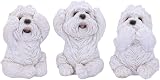 Nemesis Now Three Wise Westies Figurines White 8cm U4461N9 view 1