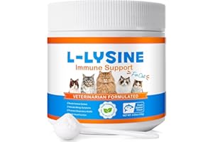 Lysine for Cats, Cat Supplement, Fresh Salmon Flavor, 120g