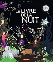 Le  livre de la nuit